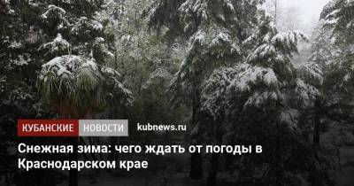 Снежная зима: чего ждать от погоды в Краснодарском крае - kubnews.ru - Анапа - Сочи - Краснодарский край