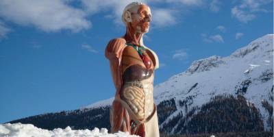 Внутренности на фоне гор. Дэмиен Херст поделился фото скульптуры со своей выставки в Швейцарии - nv.ua - Швейцария