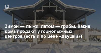 Зимой — лыжи, летом — грибы. Какие дома продают у горнолыжных центров (есть и по цене «двушки») - news.tut.by - Логойск
