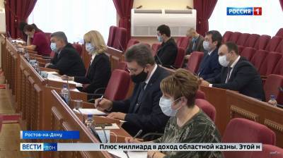 Донские законодатели обсудили областной бюджет на 2021 год - dontr.ru