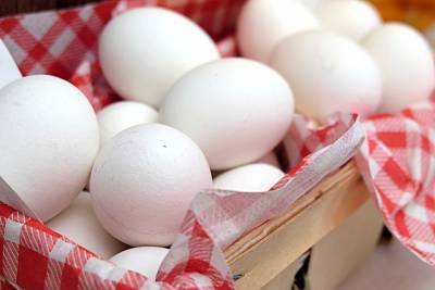 Минсельхоз намерен предотвратить необоснованный рост цен на яйца и птицу - pravda-tv.ru