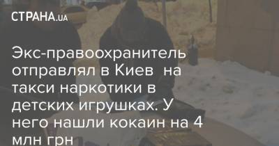 Экс-правоохранитель отправлял в Киев на такси наркотики в детских игрушках. У него нашли кокаин на 4 млн грн - strana.ua - Киев - Львов