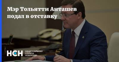 Дмитрий Азаров - Мэр Тольятти Анташев подал в отставку - nsn.fm - Самарская обл. - Тольятти