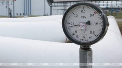 "Гомельтранснефть Дружба" устранила дефекты на трубопроводах НПС "Пинск" - belta.by - Минск - Пинск