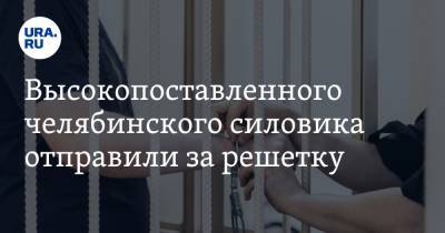 Высокопоставленного челябинского силовика отправили за решетку - ura.news - Челябинская обл. - Челябинск