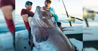 Рыболовы поймали окуня-гиганта длиной больше человеческого роста - ren.tv - США - USA - шт.Флорида