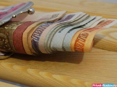Ольга Скоробогатова - Россиянам хотят по новому перечислять зарплаты - privet-rostov.ru