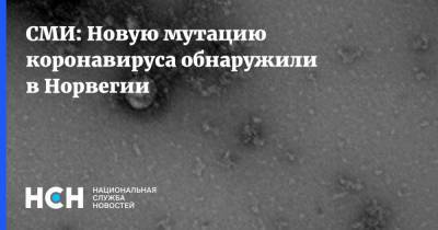 СМИ: Новую мутацию коронавируса обнаружили в Норвегии - nsn.fm - Норвегия - США - Англия - Дания - Латвия