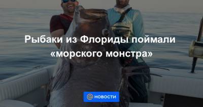 Рыбаки из Флориды поймали «морского монстра» - news.mail.ru - шт.Флорида