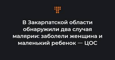 В Закарпатской области обнаружили два случая малярии: заболели женщина и маленький ребенок ㅡ ЦОС - hromadske.ua - Закарпатская обл. - Конго