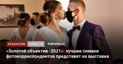 «Золотой объектив -2021»: лучшие снимки фотокорреспондентов представят на выставке - kubnews.ru - Краснодарский край