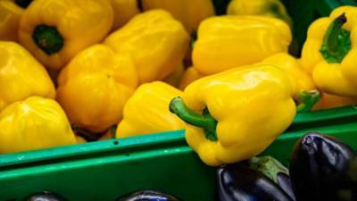 Врач назвал продукты для быстрого восстановления после Covid-19 - crimea.ria.ru - Крым - Санкт-Петербург - Симферополь
