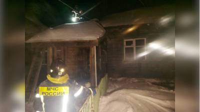 Под Владимиром на пожаре погибли три человека - vesti.ru