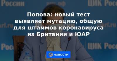 Попова: новый тест выявляет мутацию, общую для штаммов коронавируса из Британии и ЮАР - news.mail.ru - Англия - Юар