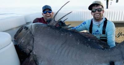 "Это был монстр": в США рыбаки выловили окуня длиной больше человеческого роста (видео) - focus.ua - США - шт.Флорида