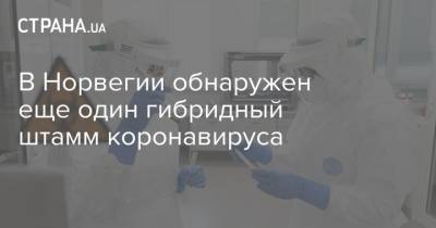 В Норвегии обнаружен еще один гибридный штамм коронавируса - strana.ua - Норвегия - США - Англия - Дания