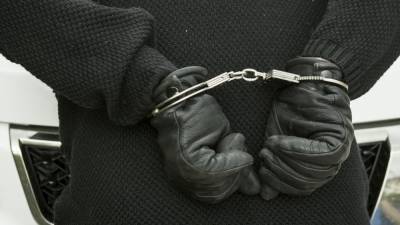 Полиция Москвы задержала пенсионера за групповое изнасилование школьницы - inforeactor.ru - Москва