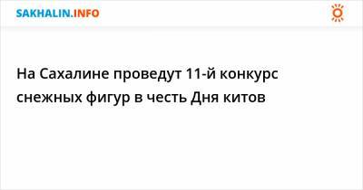 На Сахалине проведут 11-й конкурс снежных фигур в честь Дня китов - sakhalin.info