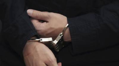 В США задержали учивших врать при прошении убежища юристов - iz.ru - США - Нью-Йорк
