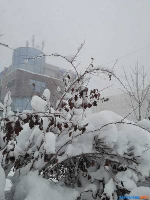 На Сахалине сохранится циклонический характер погоды - sakhalin.info