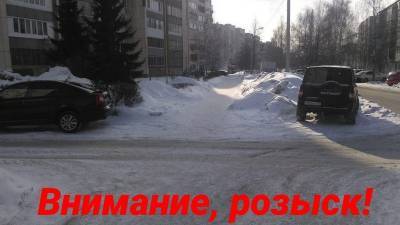 В Уфе водитель чуть не задавил малыша на санках - bash.news - Уфа