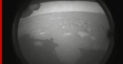 В NASA получили первые снимки с марсохода Perseverance - profile.ru - США