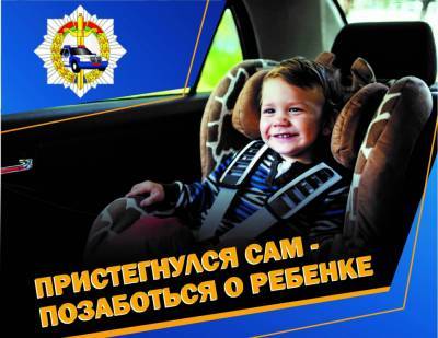Проверят автомобили, маршрутки и автобусы. ГАИ Гродно выяснит, как перевозят детей в транспорте - grodnonews.by