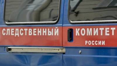 Константин Салаев - Обвиняемого в убийстве девятилетней девочки арестовали в Чите - nation-news.ru - Чита