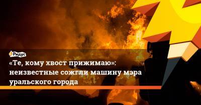 «Те, кому хвост прижимаю»: неизвестные сожгли машину мэра уральского города - ridus.ru - Свердловская обл.