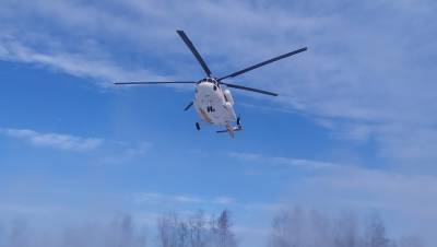 Женщину, пострадавшую в ДТП под Ржевом, вертолетом доставили в тверскую больницу - afanasy.biz