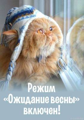 Михаил Леус - Синоптик рассказал, когда в Ленобласти и Петербурге наступит весна - ivbg.ru - Ленинградская обл. - Санкт-Петербург - Петербург