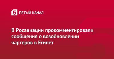 Дмитрий Горин - В Росавиации прокомментировали сообщения о возобновлении чартеров в Египет - 5-tv.ru - Египет - Каир