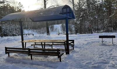 Тюменцам рассказали о зимнем отдыхе в городских лесах - nashgorod.ru