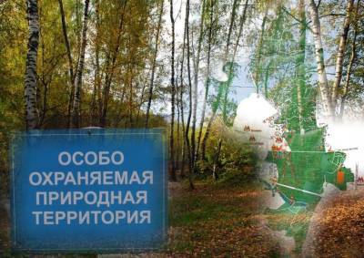 Защитники Битцевского леса призвали московские власти прекратить поползновения на территорию ООПТ - mskgazeta.ru - Москва