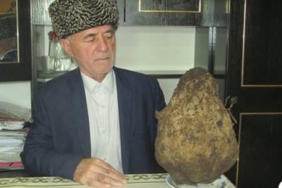 Житель Ингушетии поставил рекорд, вырастив свеклу весом 7 кг - etokavkaz.ru - респ. Ингушетия