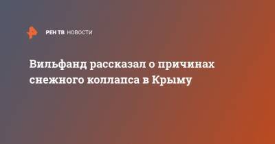 Роман Вильфанд - Вильфанд рассказал о причинах снежного коллапса в Крыму - ren.tv - Крым