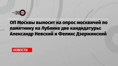 Александр Невский - Феликс Дзержинский - ОП Москвы выносит на опрос москвичей по памятнику на Лубянке две кандидатуры: Александр Невский и Феликс Дзержинский - echo.msk.ru - Москва