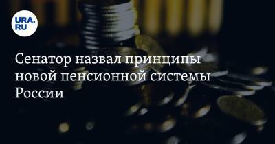 Валерий Рязанский - Сенатор назвал принципы новой пенсионной системы России - ura.news - Рязань