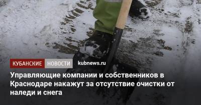 Управляющие компании и собственников в Краснодаре накажут за отсутствие очистки от наледи и снега - kubnews.ru - Краснодар