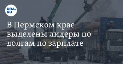 В Пермском крае выделены лидеры по долгам по зарплате - ura.news - Пермский край