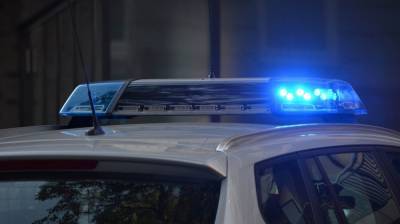 Бывшего замначальника отдела полиции осудили за крупную кражу под Воронежем - vestivrn.ru - Воронеж - Воронежская обл.