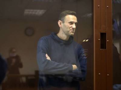Алексей Навальный - Навальный будет участвовать в обоих судебных заседаниях в субботу - rosbalt.ru - Москва