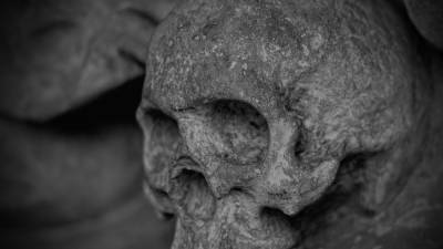 Более 80 скелетов британских солдат обнаружили в захоронении XVIII века - polit.info - Голландия - Британская Империя