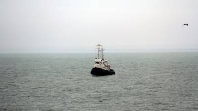 Константин Салаев - Смертельное отравление едой произошло на судне в Керченском проливе - nation-news.ru - Кавказ