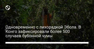 Одновременно с лихорадкой Эбола. В Конго зафиксировали более 500 случаев бубонной чумы - liga.net - Конго