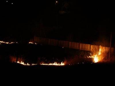 Агро - В Украине выросли штрафы за выжигание полей и лесов: суммы наказания - 24tv.ua