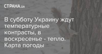 Наталья Диденко - В субботу Украину ждут температурные контрасты, в воскресенье - тепло. Карта погоды - strana.ua - Украина - Киев