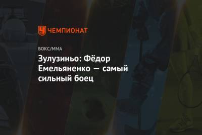 Федор Емельяненко - Зулузиньо: Фёдор Емельяненко — самый сильный боец - championat.com - Москва