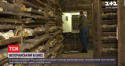 Секреты успеха: во Львовской области ветеран войны открыл две перепелиные фермы - tsn.ua - Львовская обл. - Донбасс - район Стрыйский