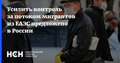 Усилить контроль за потоком мигрантов из ЕАЭС предложено в России - nsn.fm